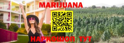 сатива Краснокаменск