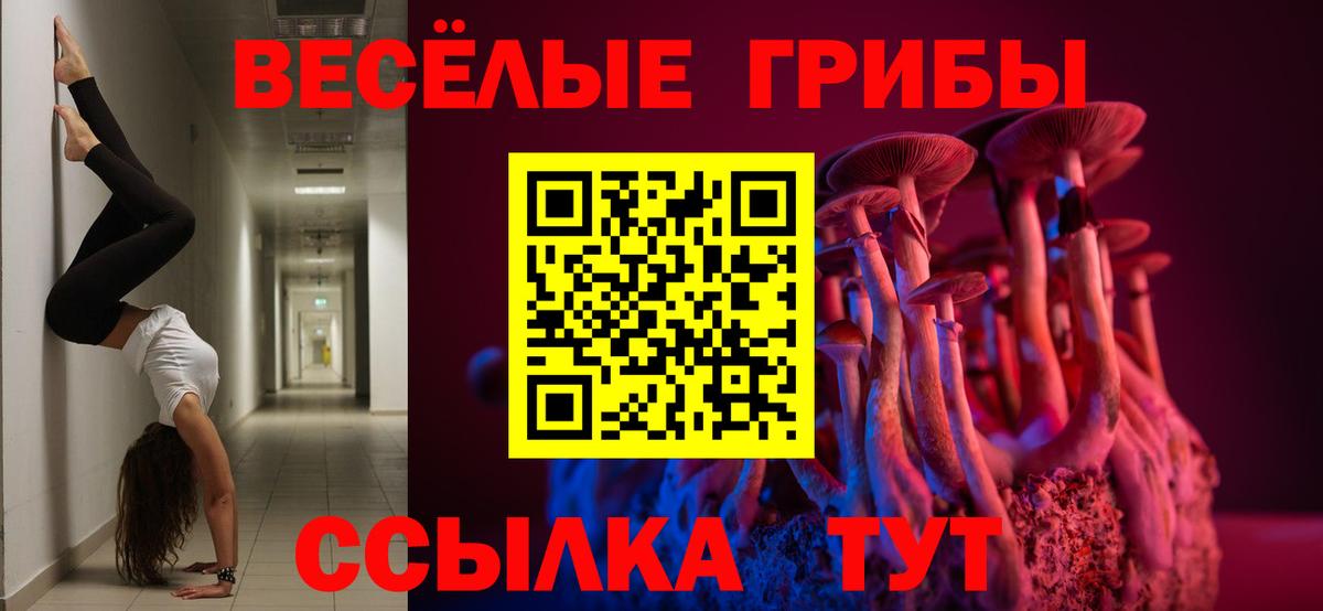 Псилоцибиновые грибы мицелий Калининград