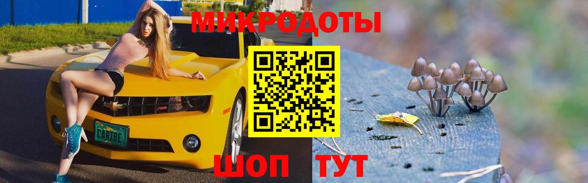 закладки  Вход с VPN  Калининград  Галлюциногенные грибы ЛСД 