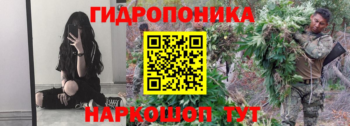 Бошки марихуана планчик  Марихуана марихуана  Вход с VPN  Калининград 