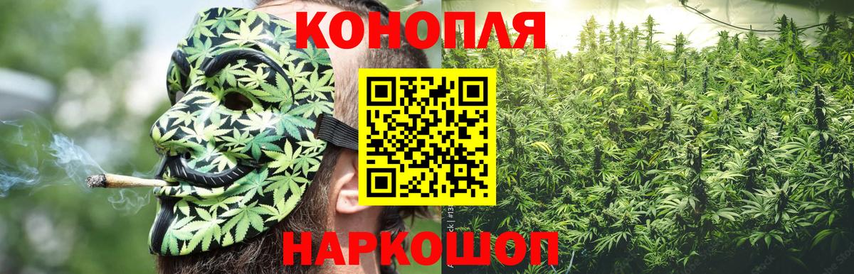 Каннабис сатива Калининград